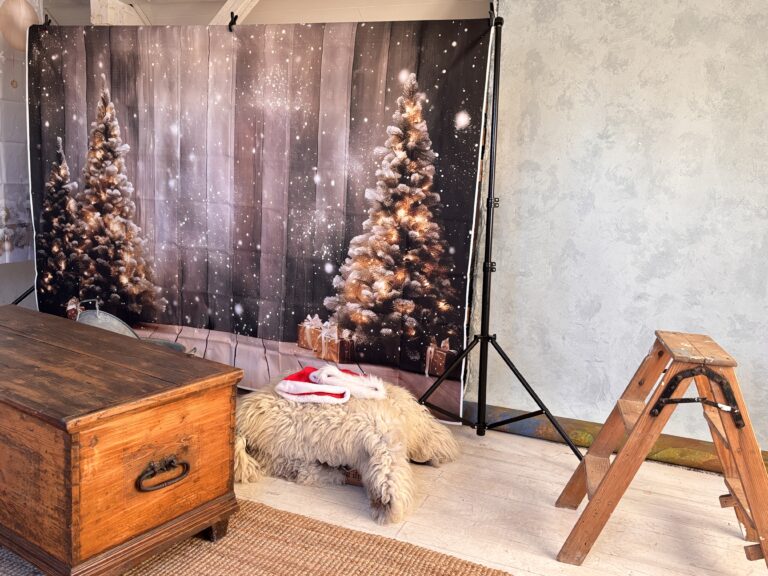 Beispiel Fotostudio Deco für Weihnachtsbilder Familien bei erik-paul-picture in Westheim