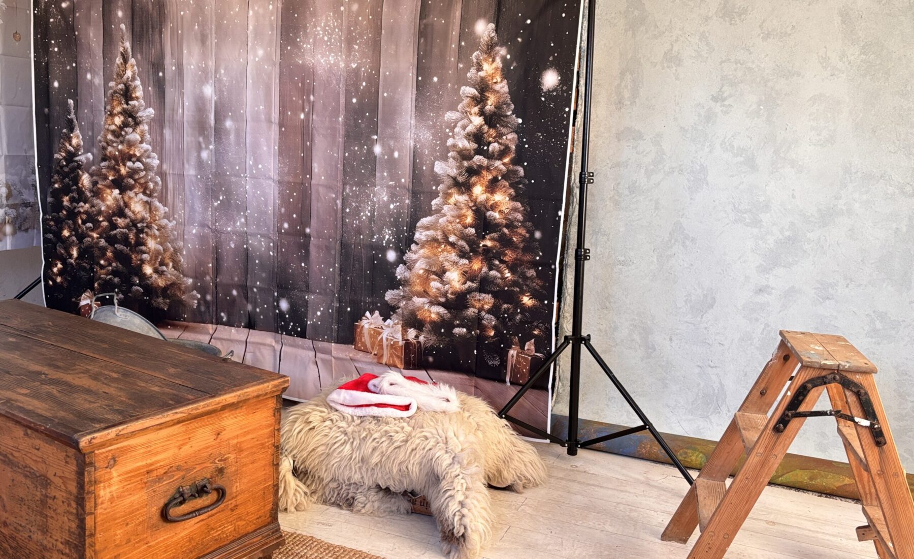 ✨ Verschenke Erinnerungen zu Weihnachten! 🎄