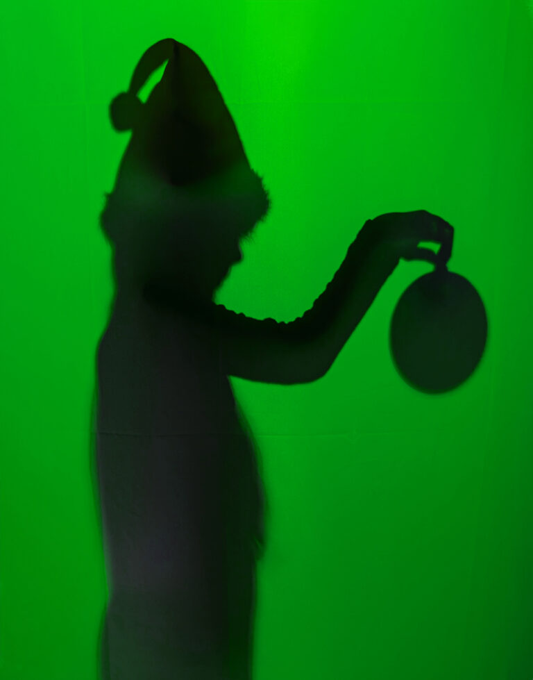 ✨ Weihnacht, Weihnacht-Shooting, statt Shopping! ✨