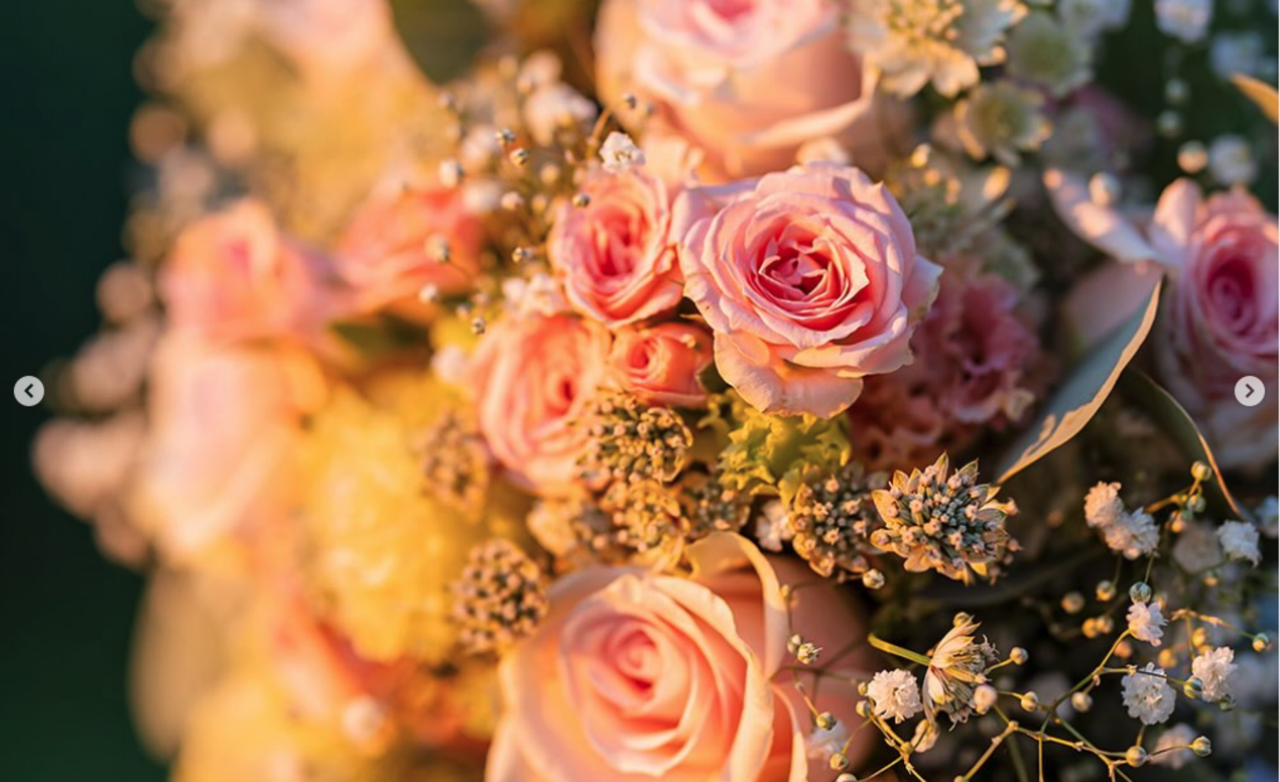 Ihr seid noch auf der Suche nach einem Hochzeitsfotografen?