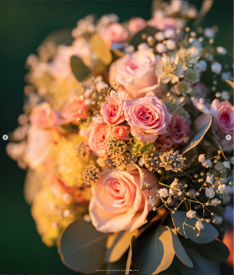 Ihr seid noch auf der Suche nach einem Hochzeitsfotografen?